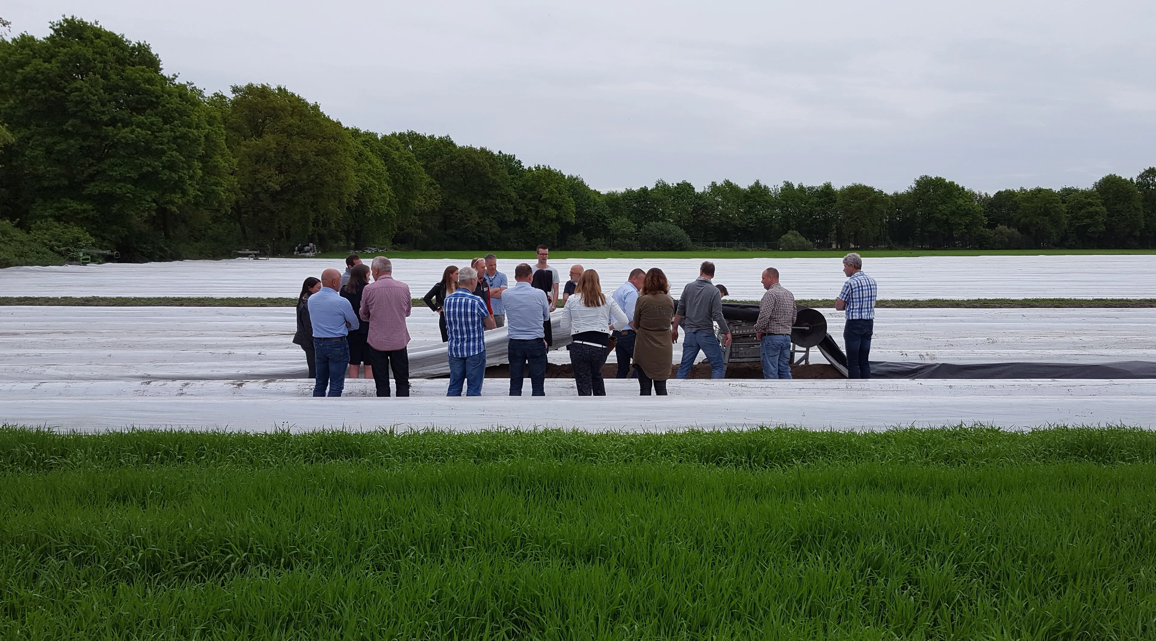 persfoto asperges in het veld gaat niet door