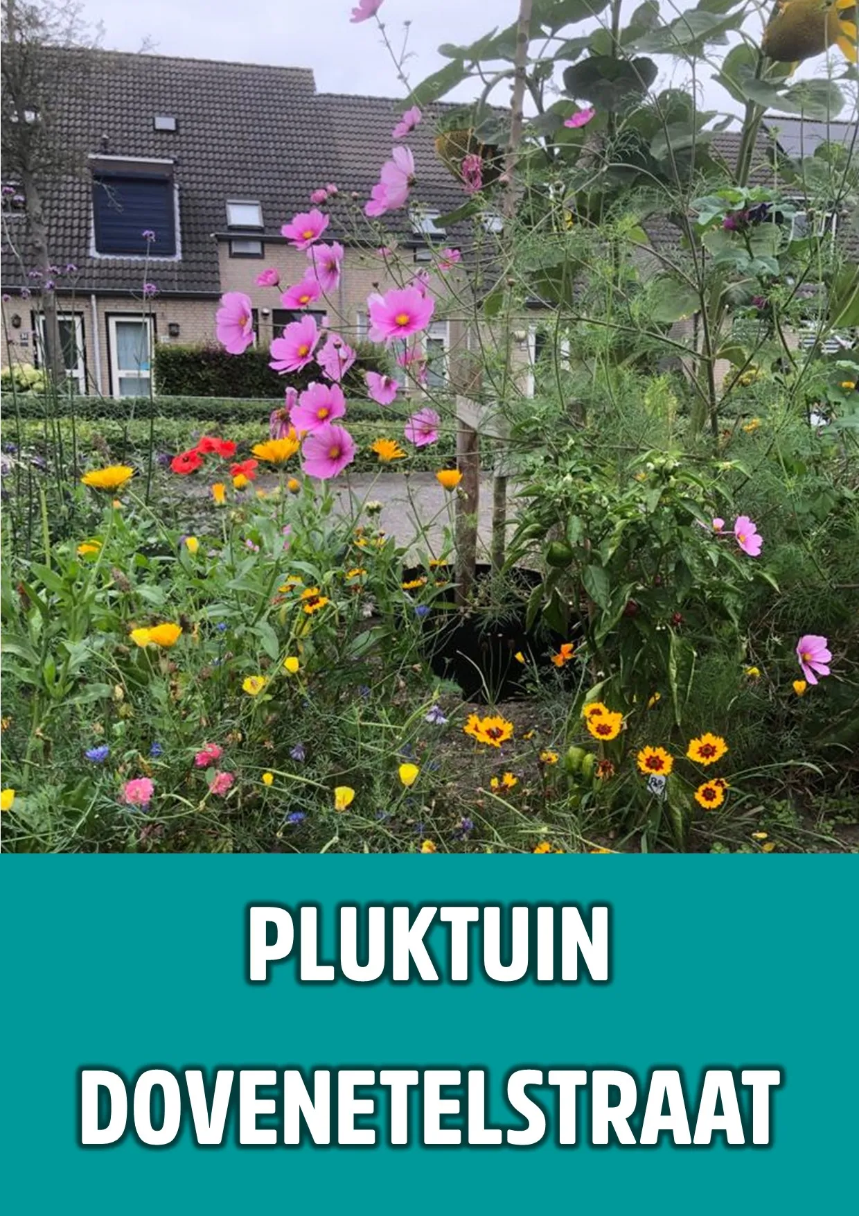pluktuin dovenetel 1