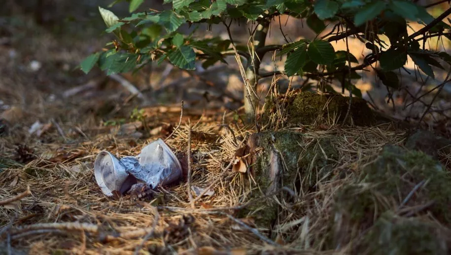 pollution 3714969 1280 915x518 1 915x518 1