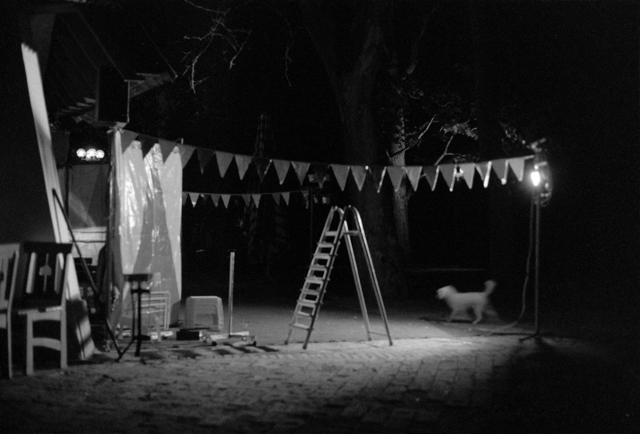 shirley welten clownachterblijfselen fotoafdruk op emaille 60 x 90 cm