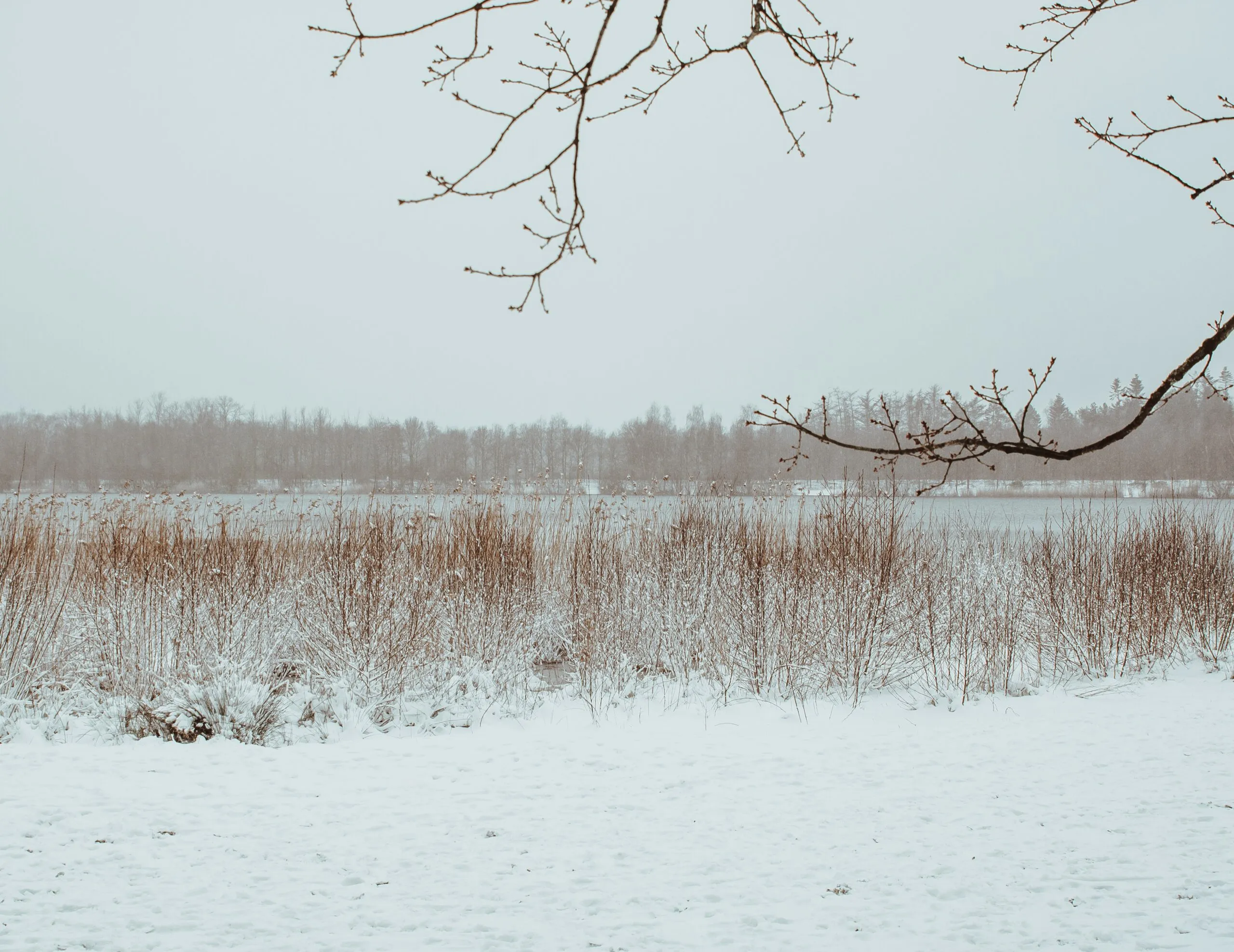 sneeuw 1 van 1 scaled