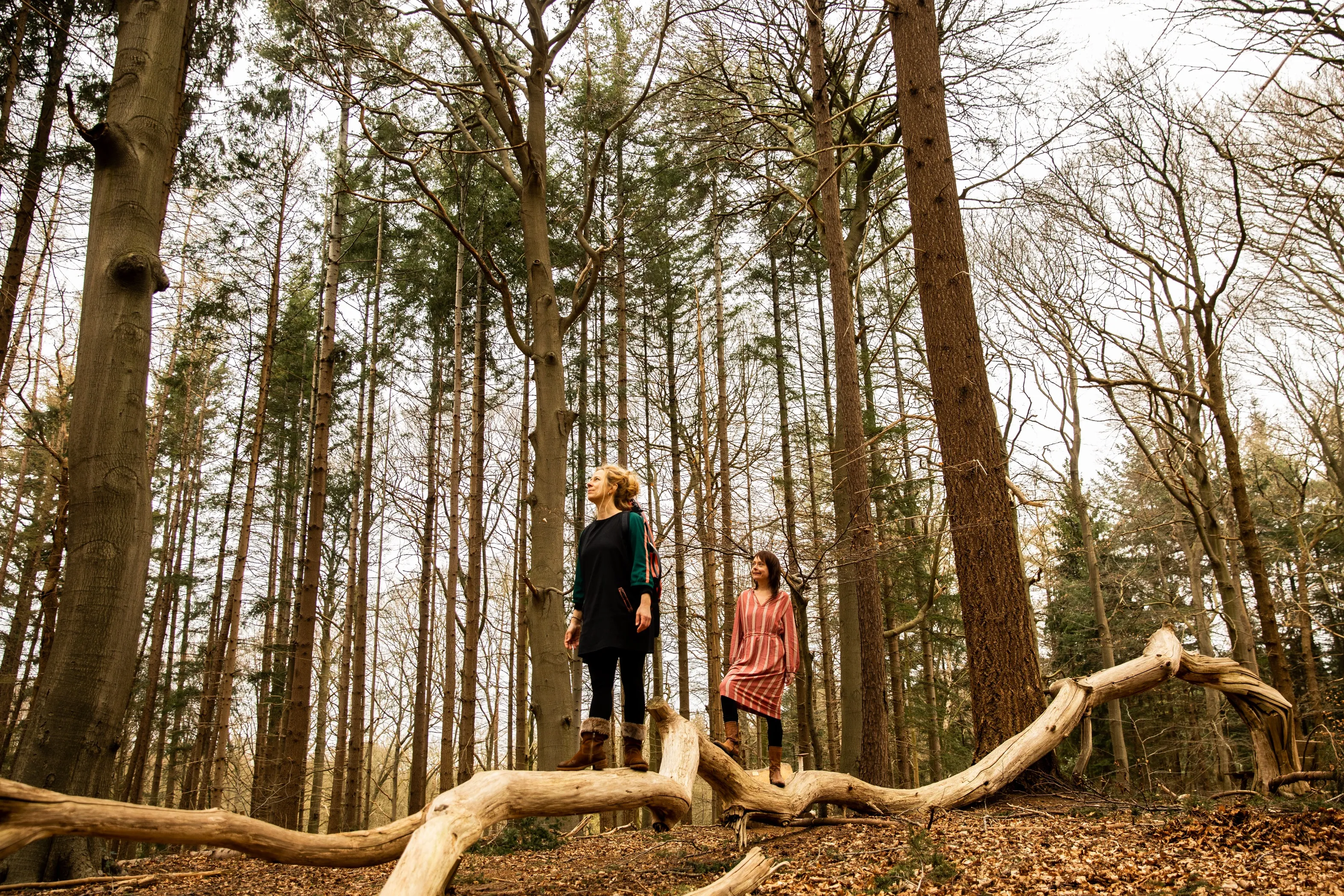 sophie de rijk hilke bressers credit willemijn van harskamp