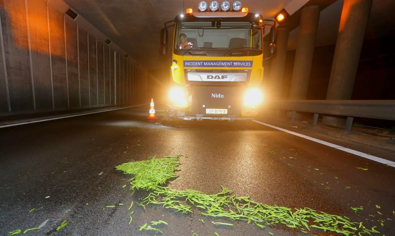 sperziebonen op weg a65 vught 2