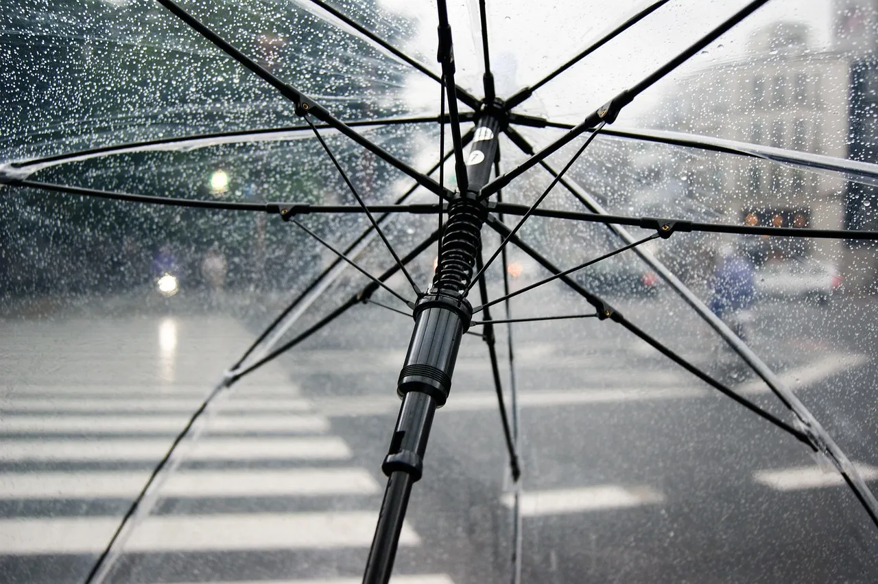 umbrella 4425160 1280