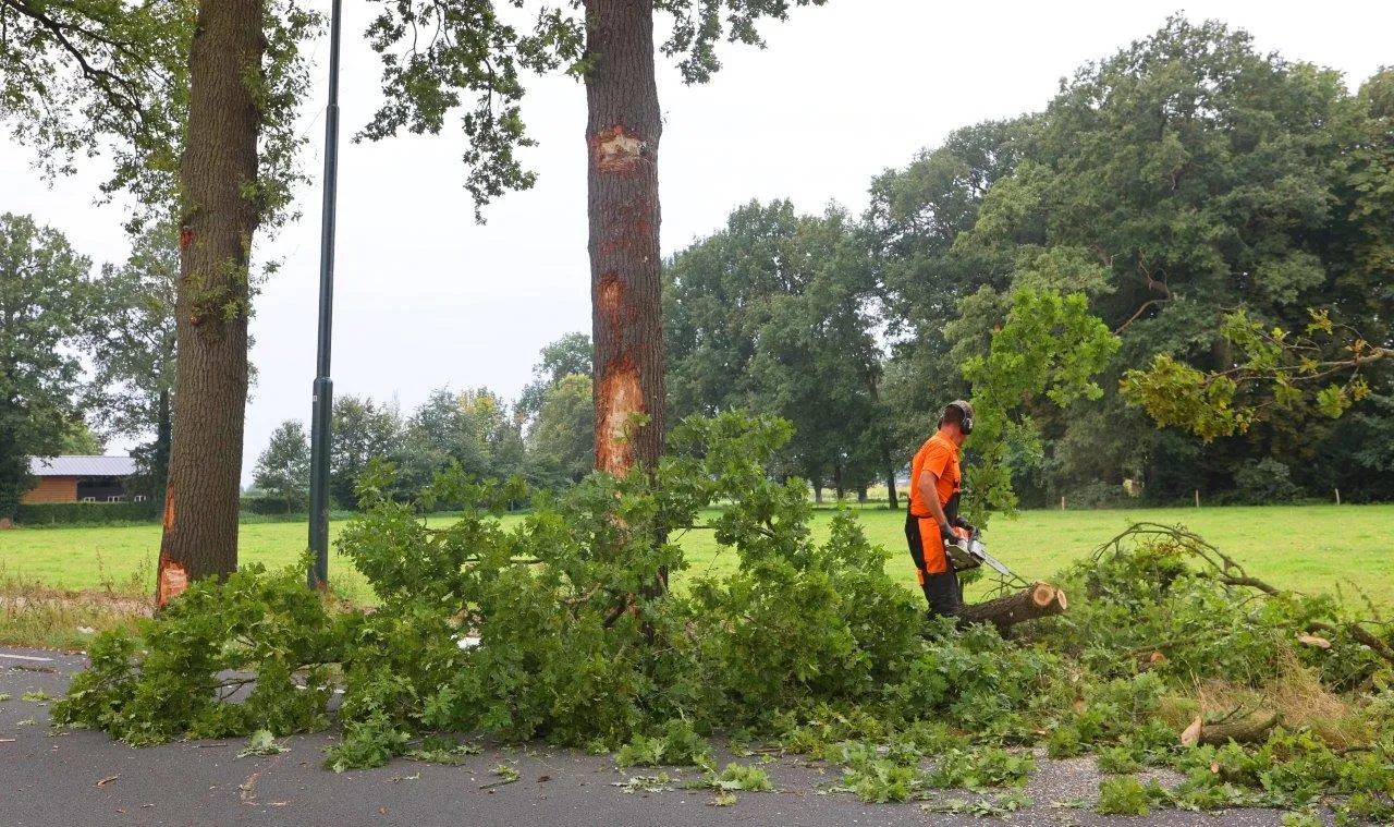 vrachtwagen boom helvoirt 5