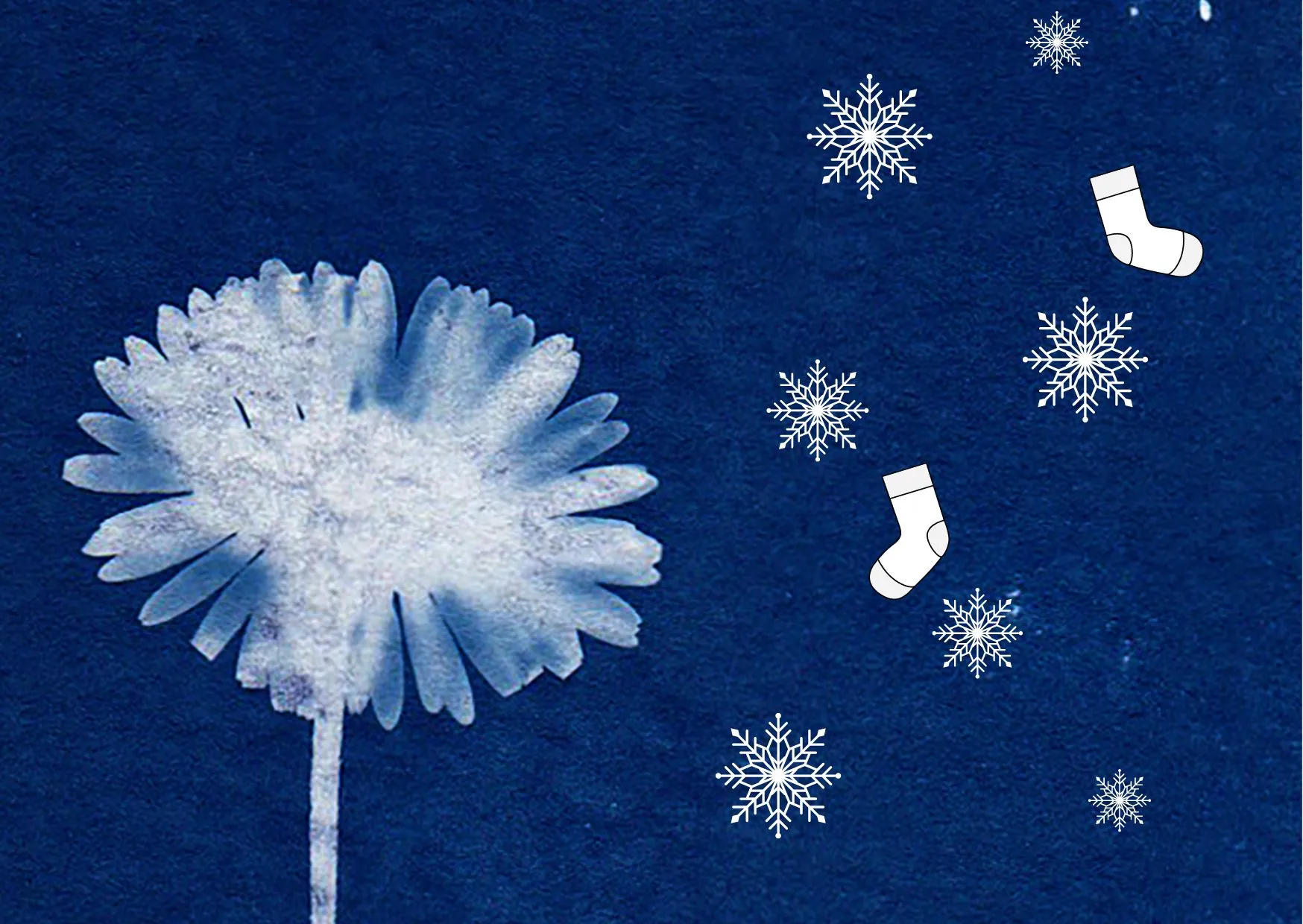 winter verwonderen beeld zonder tekst