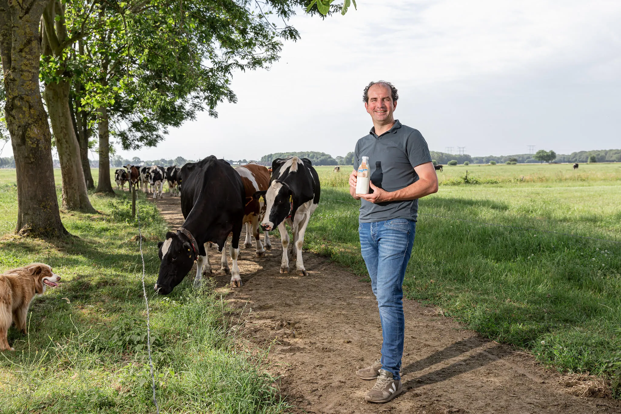 guus van roessel copyright guus van roessel