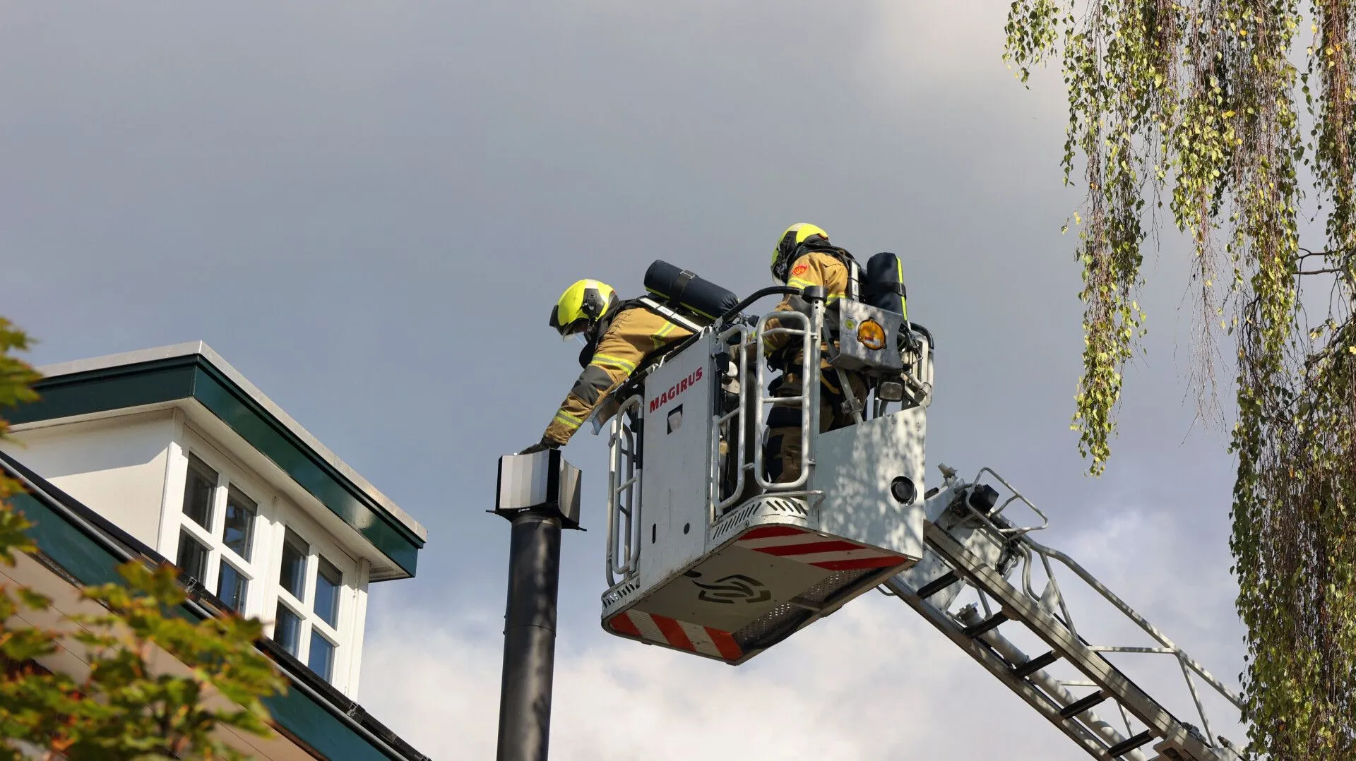 thomas 20241003121153 3