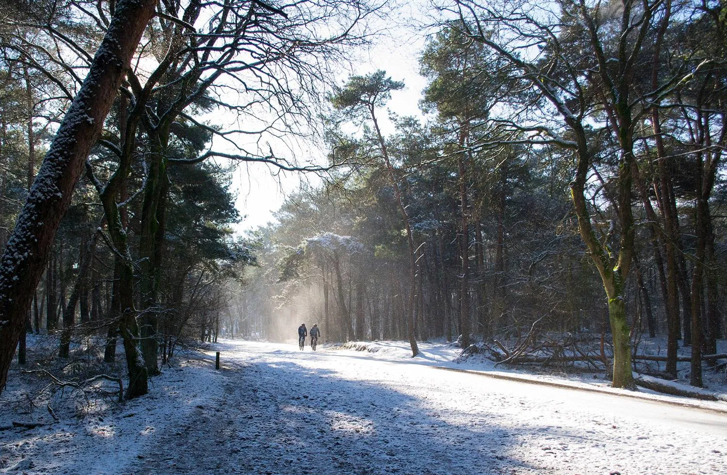 250126 mm wintertijd2 kl3