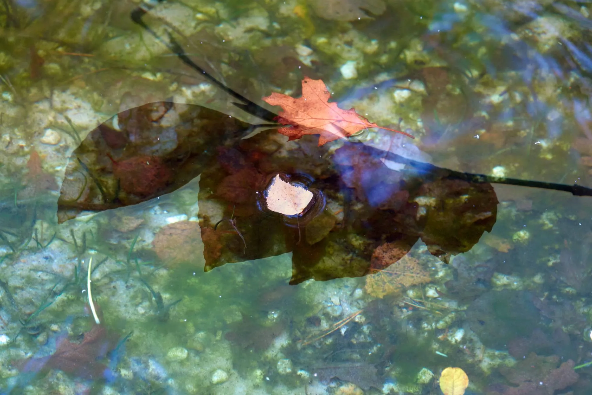 250223 mm klassiek met keeskl