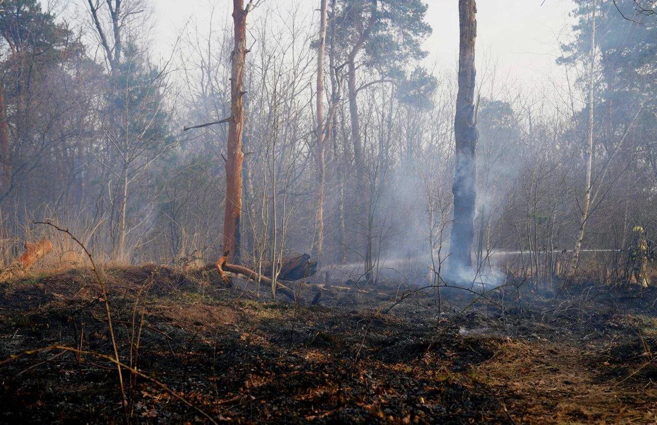 2025 04 21 meesters multi media fotos brand vught heide vught24