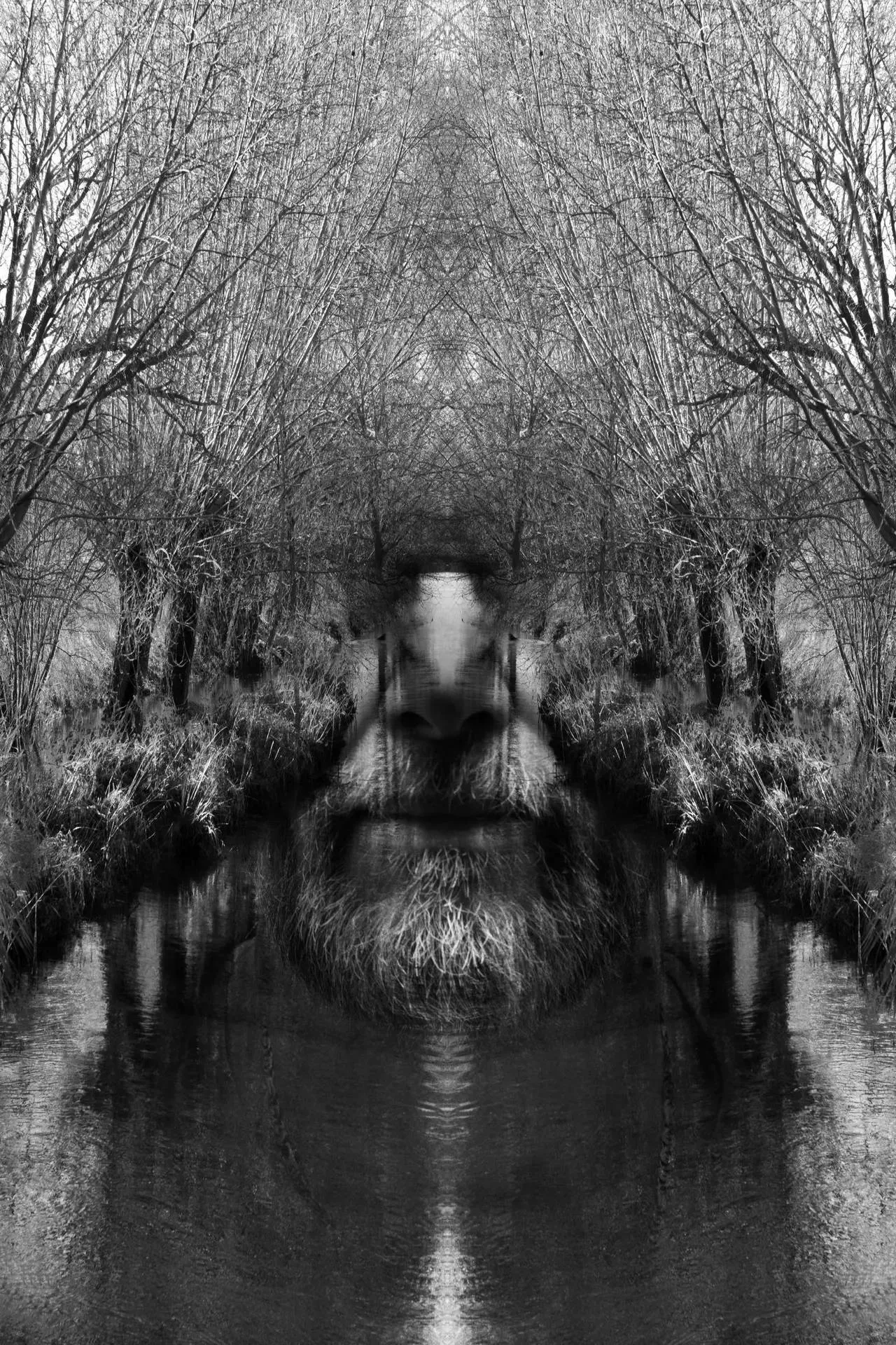 winnaar elise van de pol 67040f597be38jpg