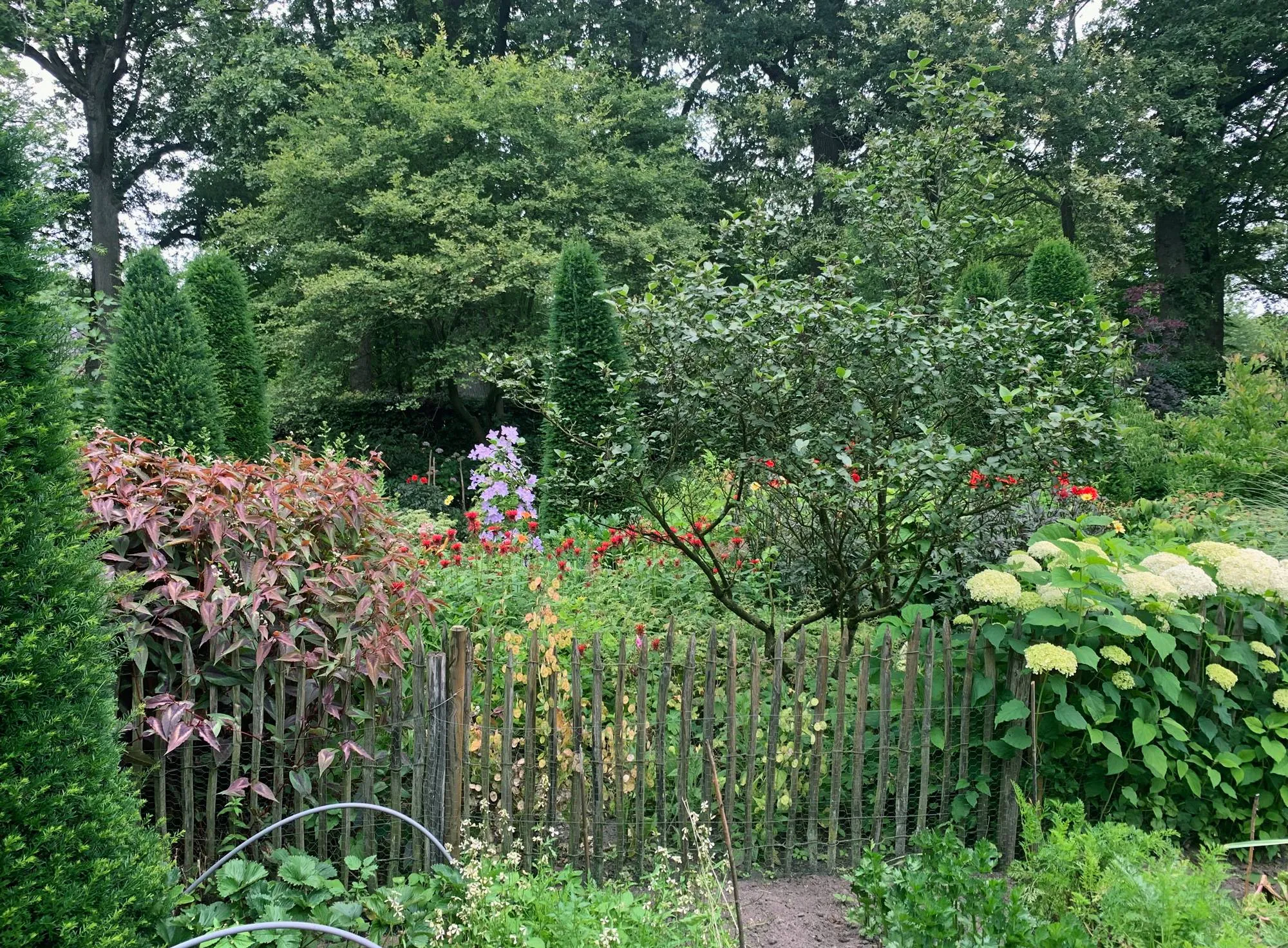 250424 natuur en tuin door kant kl