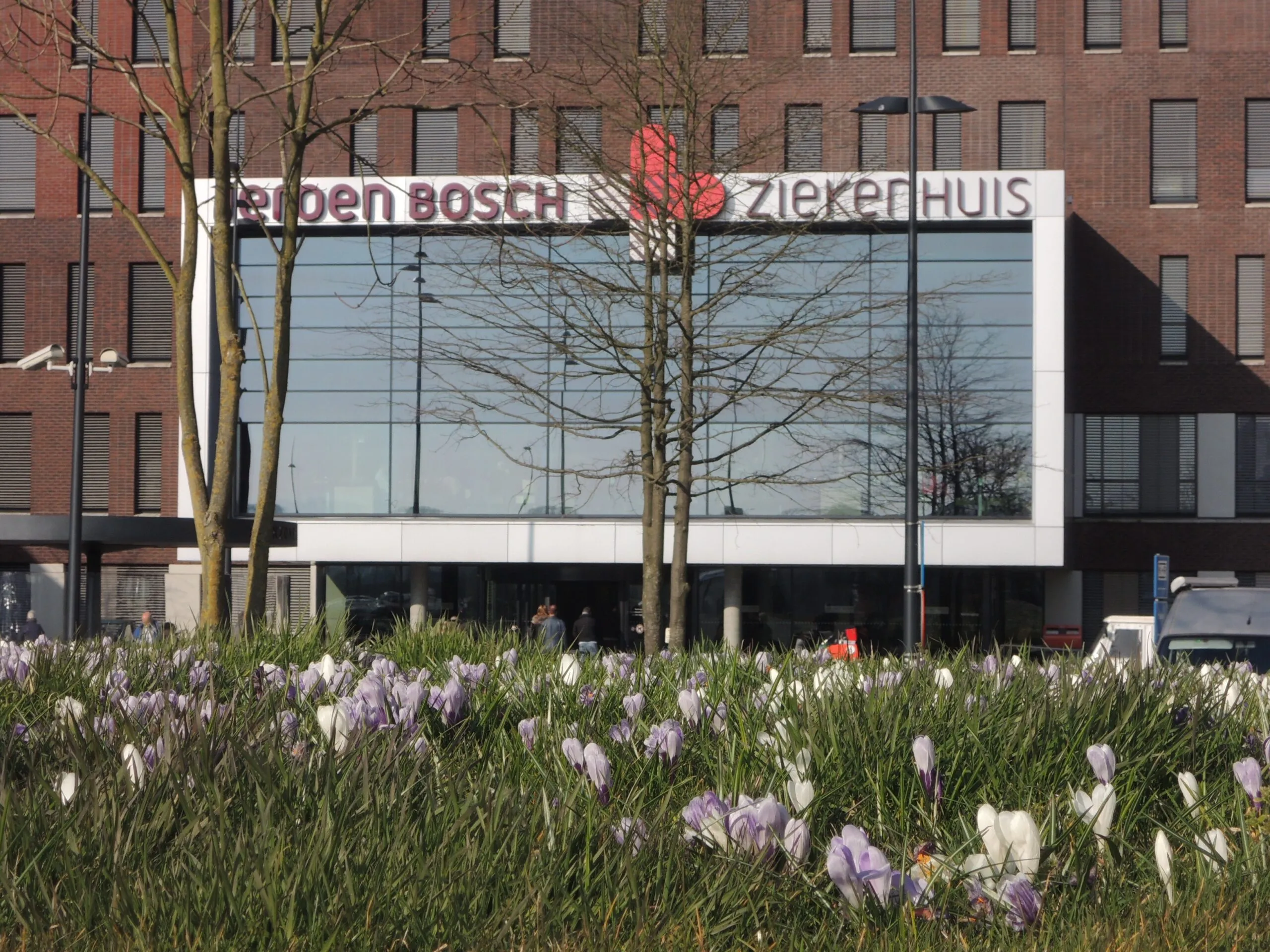 00-jbz-divers-3-scaled