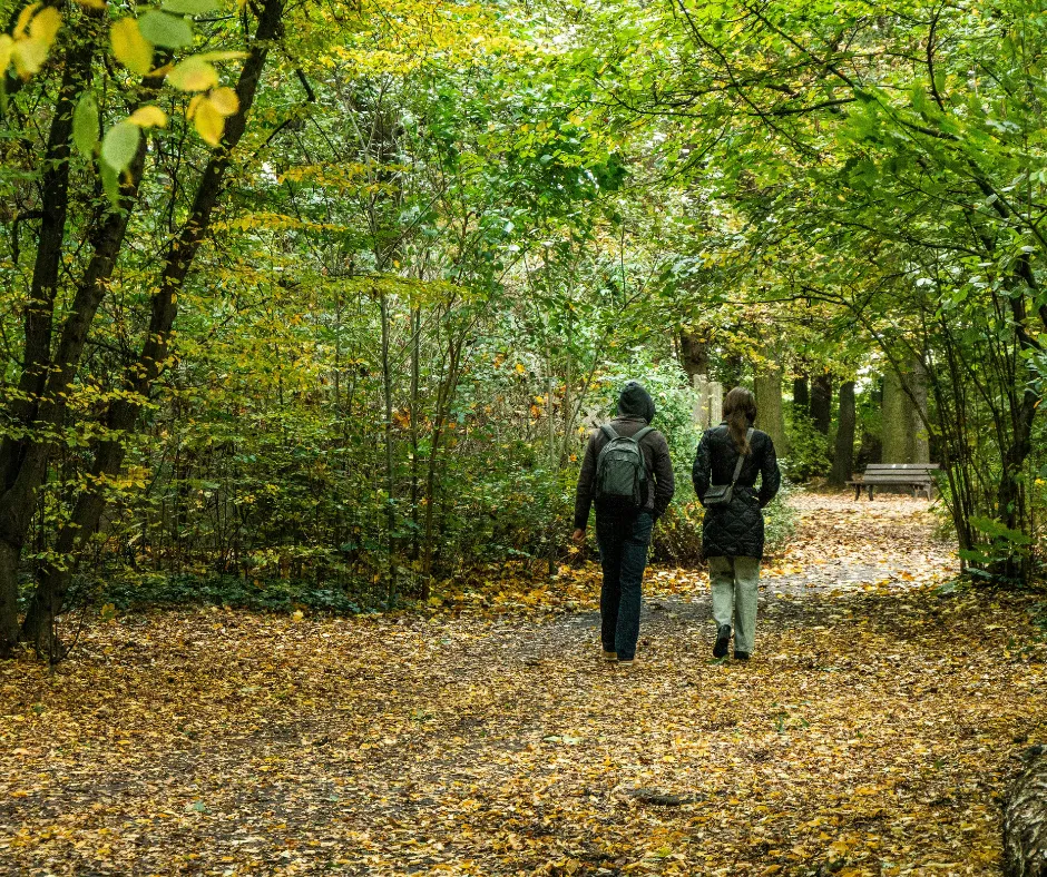 Headerafbeelding-green-monday-wandelen-bos