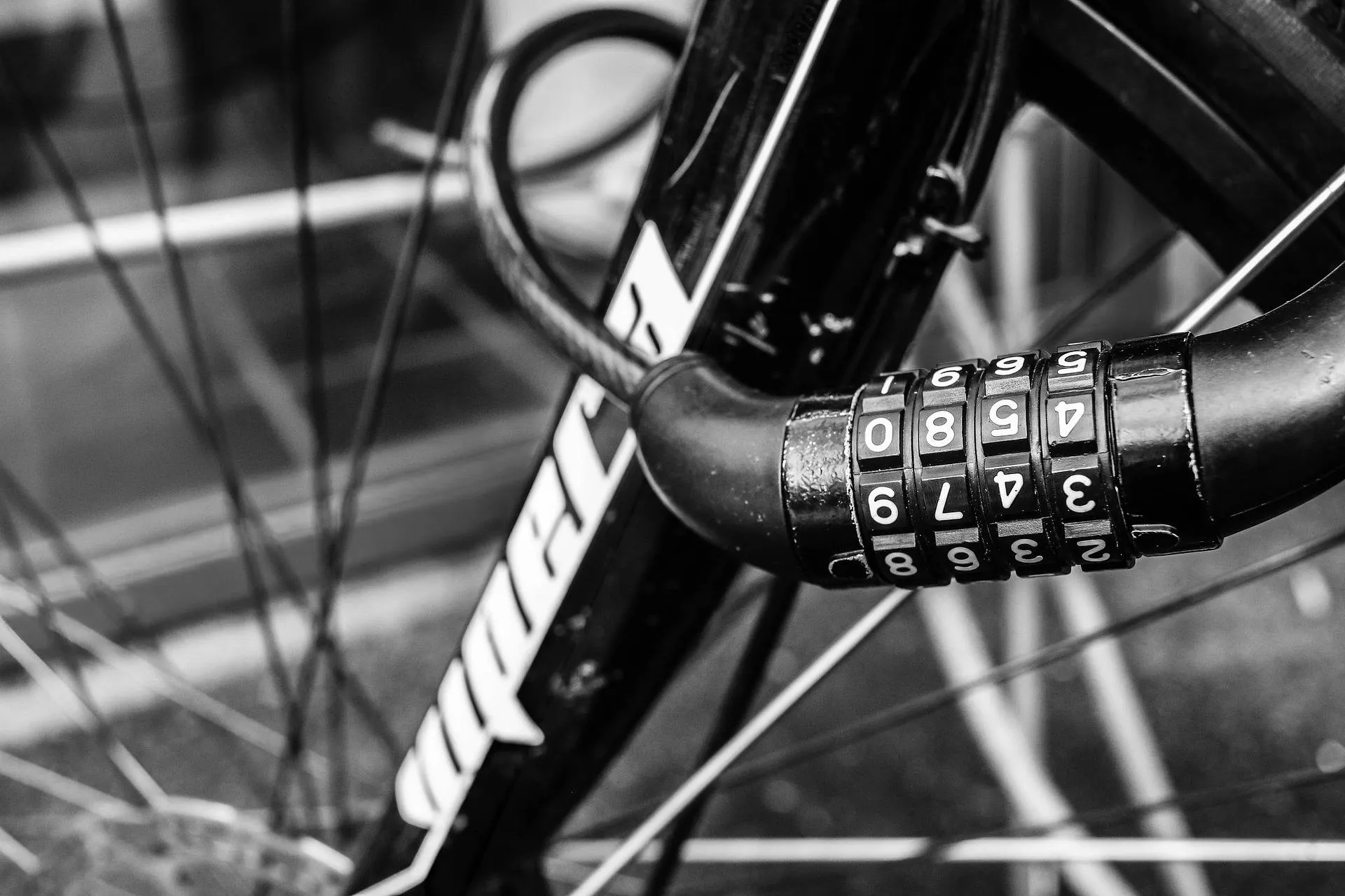 photorama-bike-2580718_1920