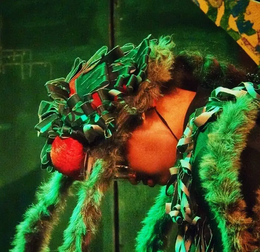 Chardee als Anansi