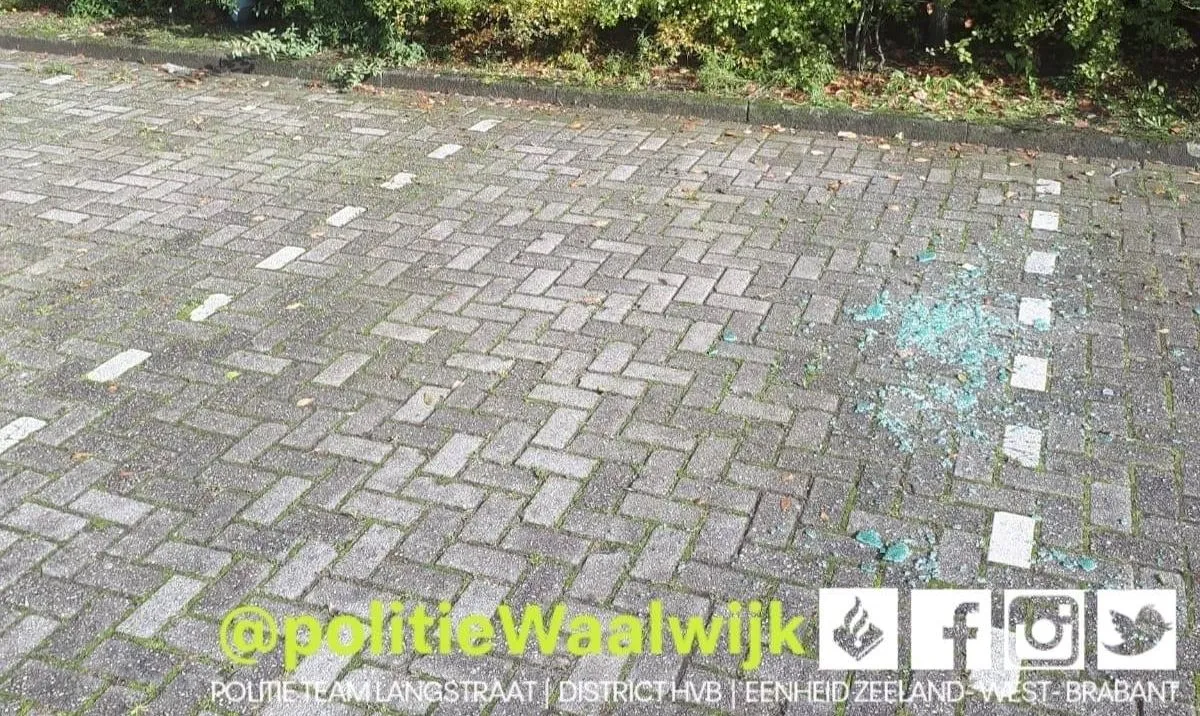 122366115 708784259724180 303963615994765657 o