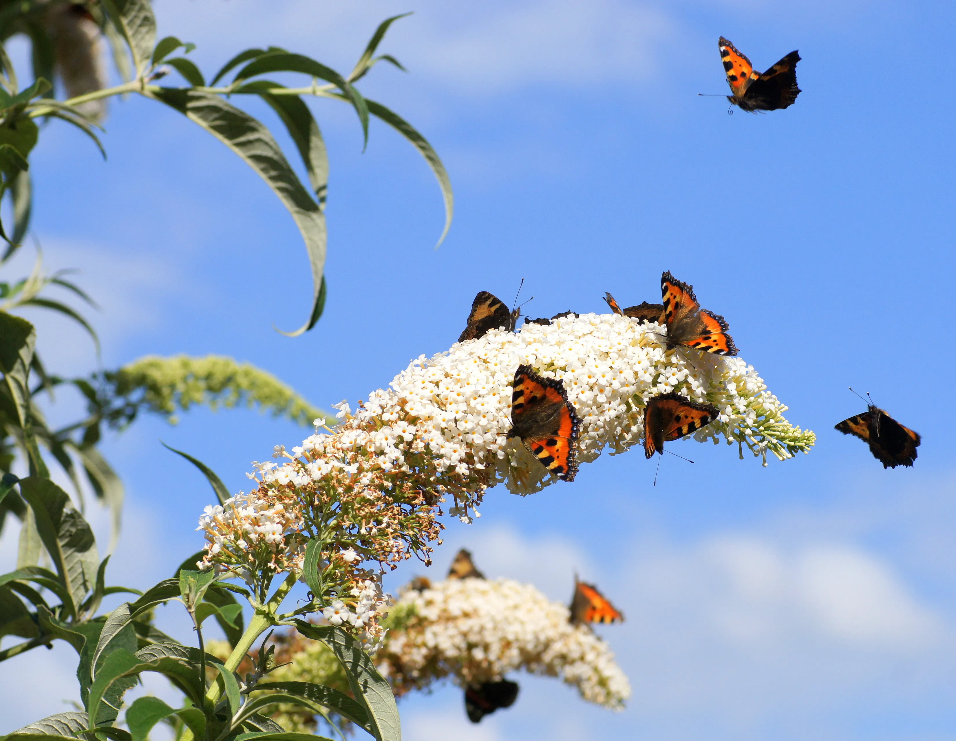 1269 138ba5c3bebfb8e9d94a156093f73304