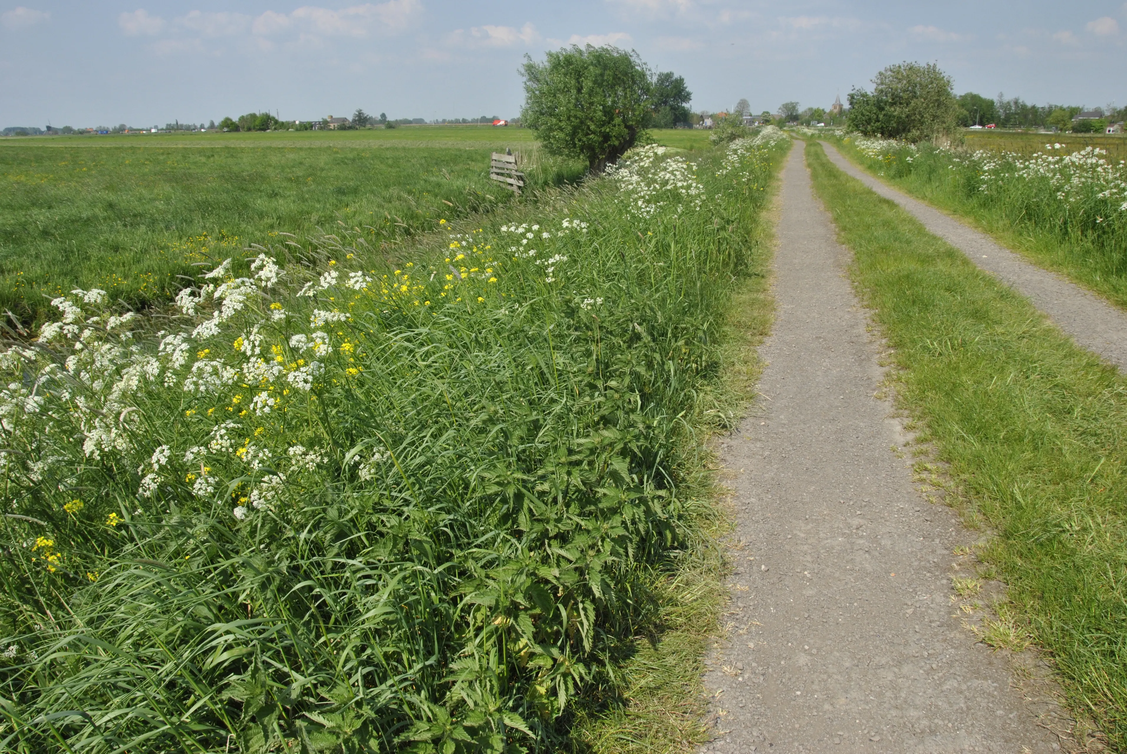 1269 c20f8c036970944c5a22b2ad5d13b731