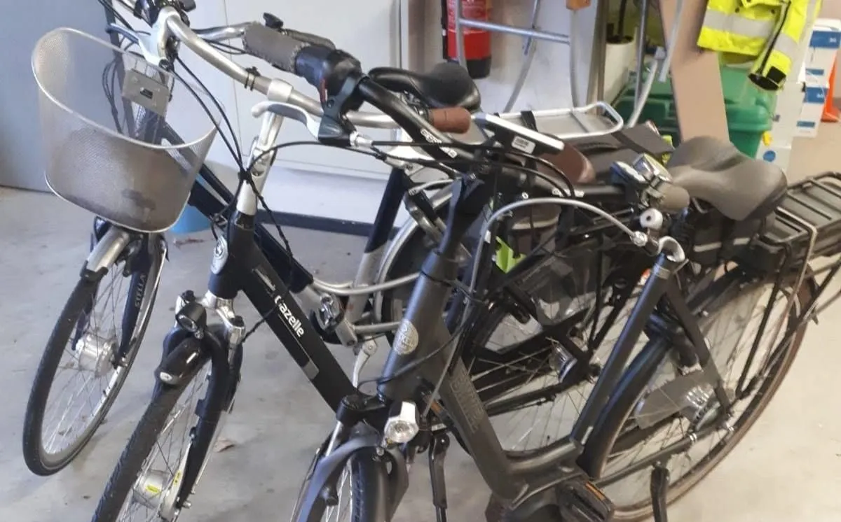 132796260 751420465460559 6137466539407575007 oa