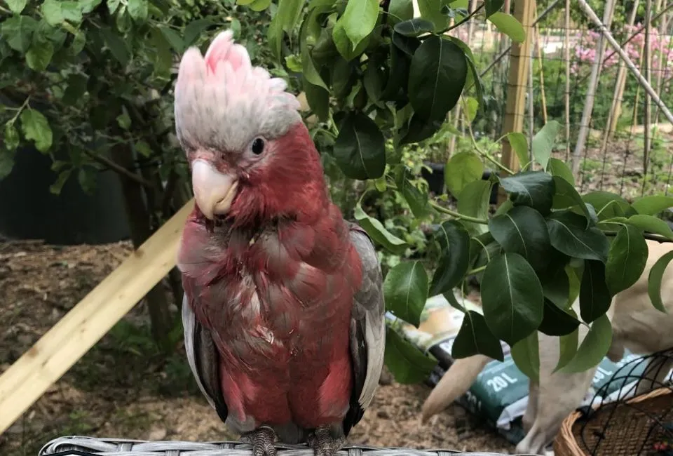 1467452 t9o7qxq3 xlwm