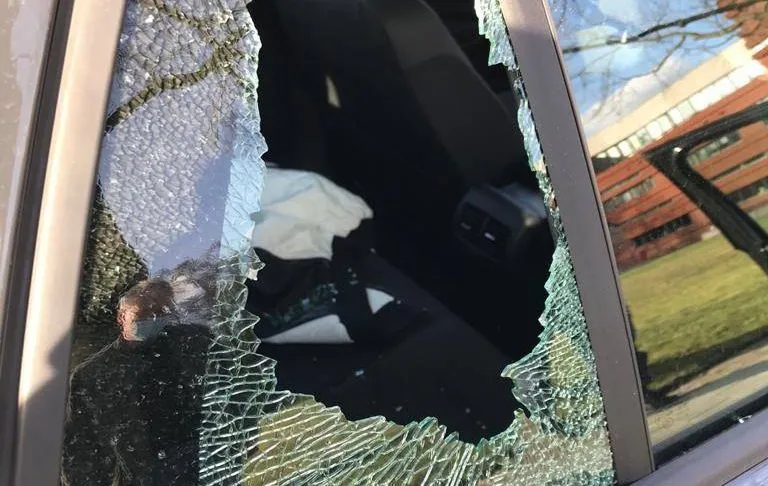 153176292 784430905492848 7921531971956104359 o