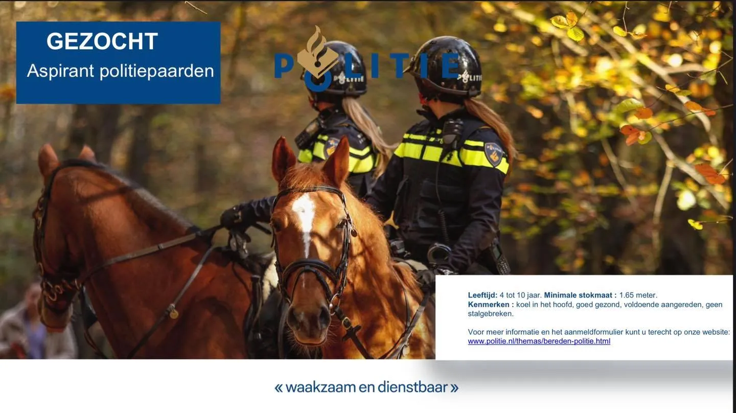 160004791 2891978161121441 5777142524366459183 o