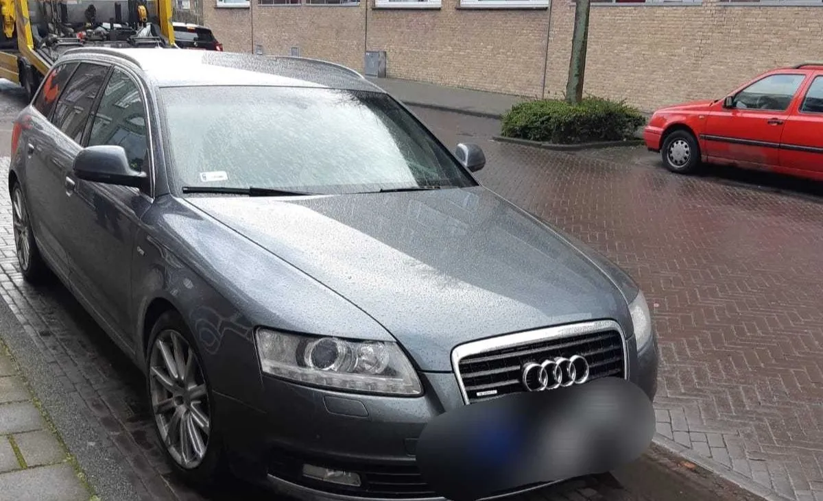 161770905 794804277788844 6095185862524210402 o