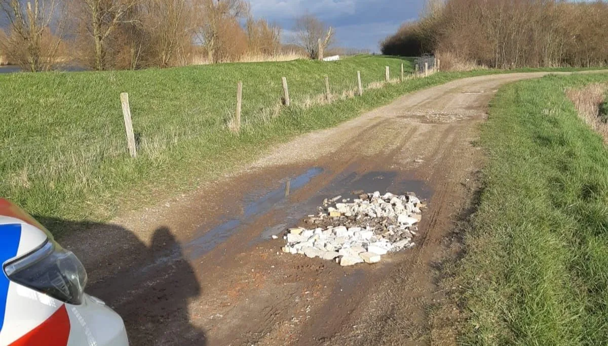 163071137 797289557540316 697106209941975109 o