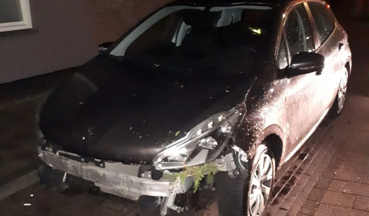 163268925 797843834151555 2725775520320324155 o