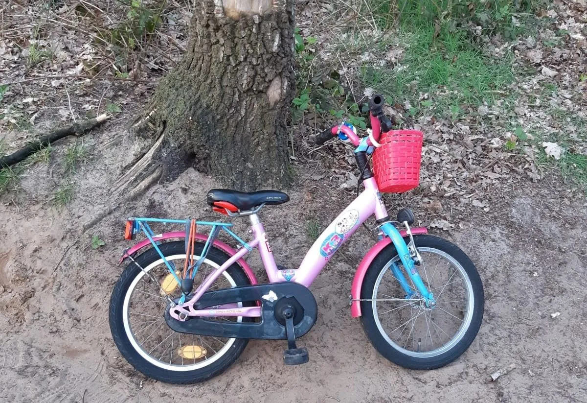 175807362 813404229262182 4102250000236491742 n