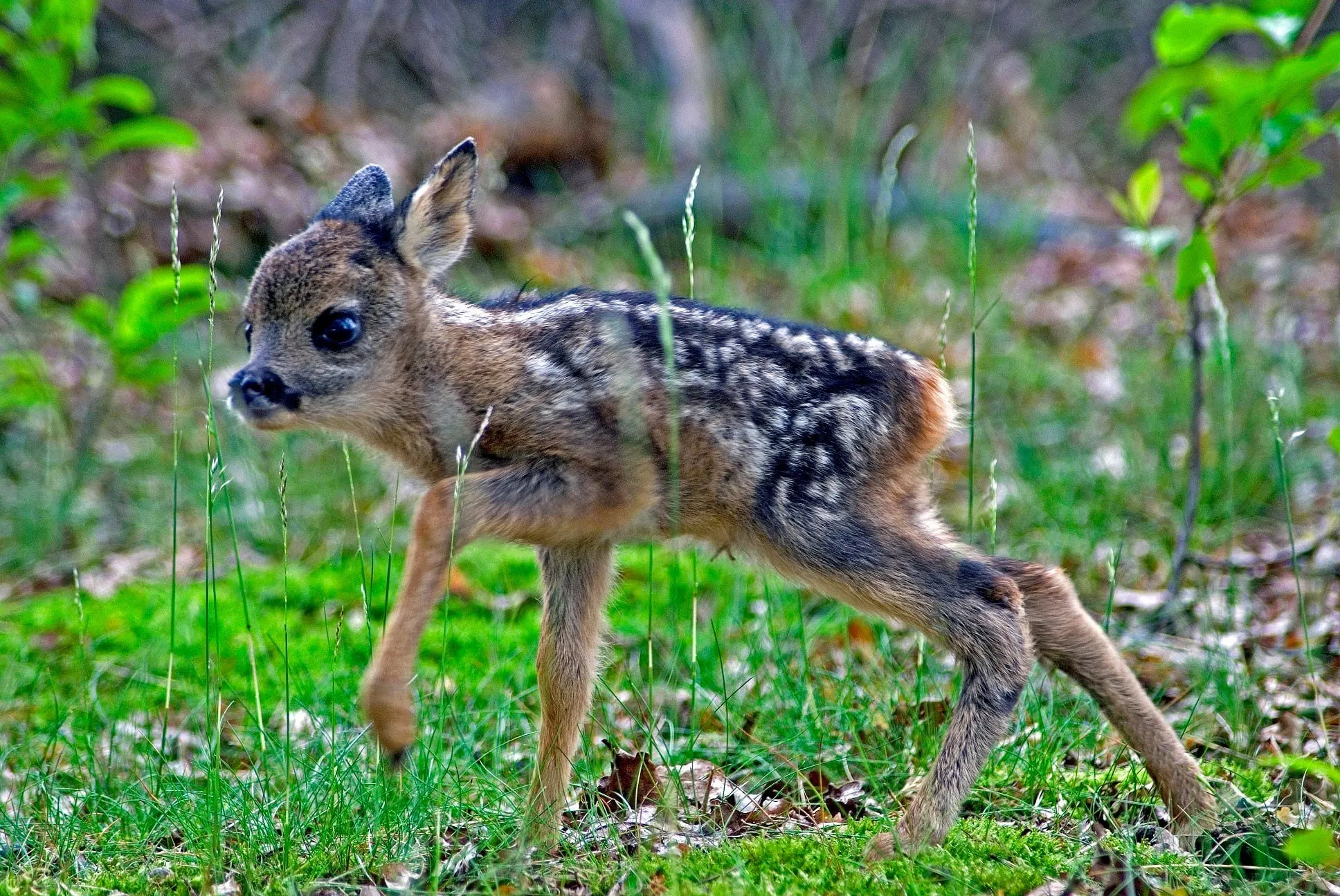 179153169 4706370046062280 2054408330417959339 n