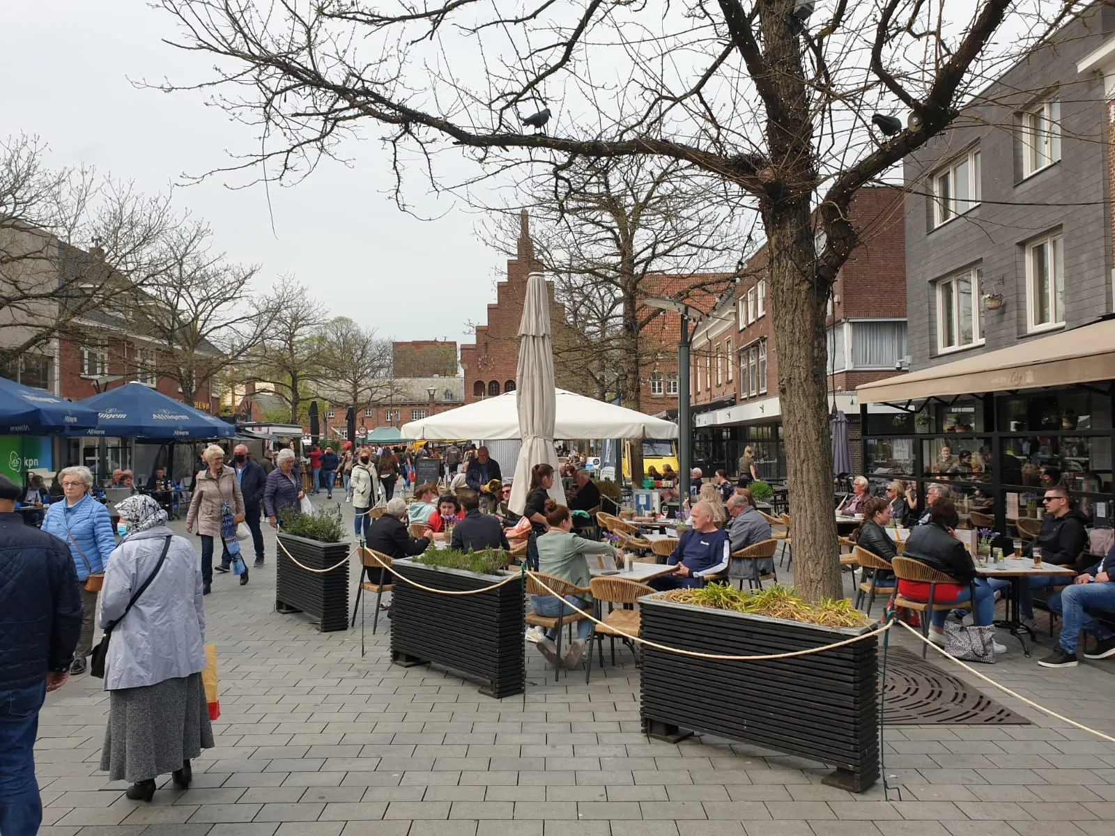 179473254 3449612801806338 7620290048067040985 n