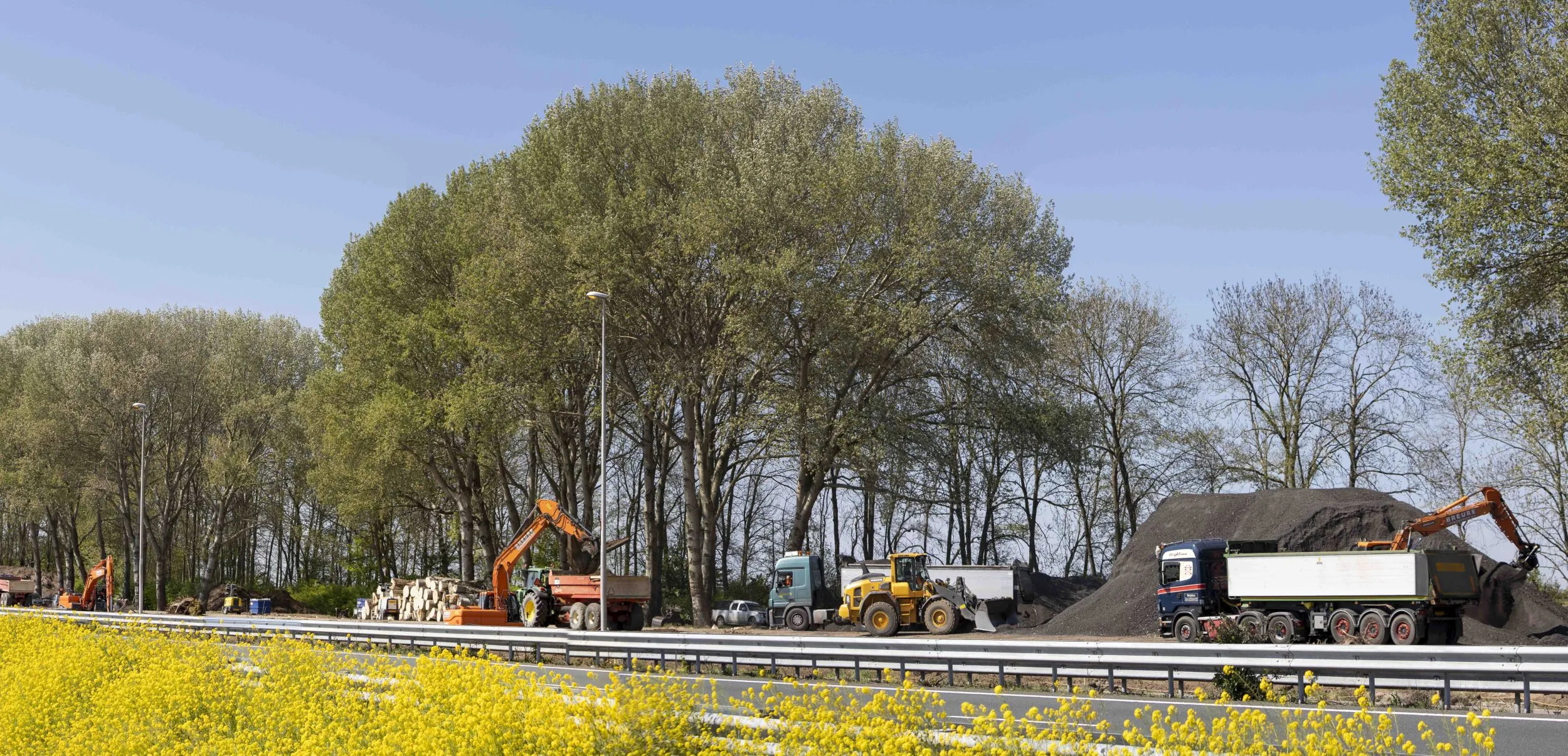 19042020 waspik 047 pano lr