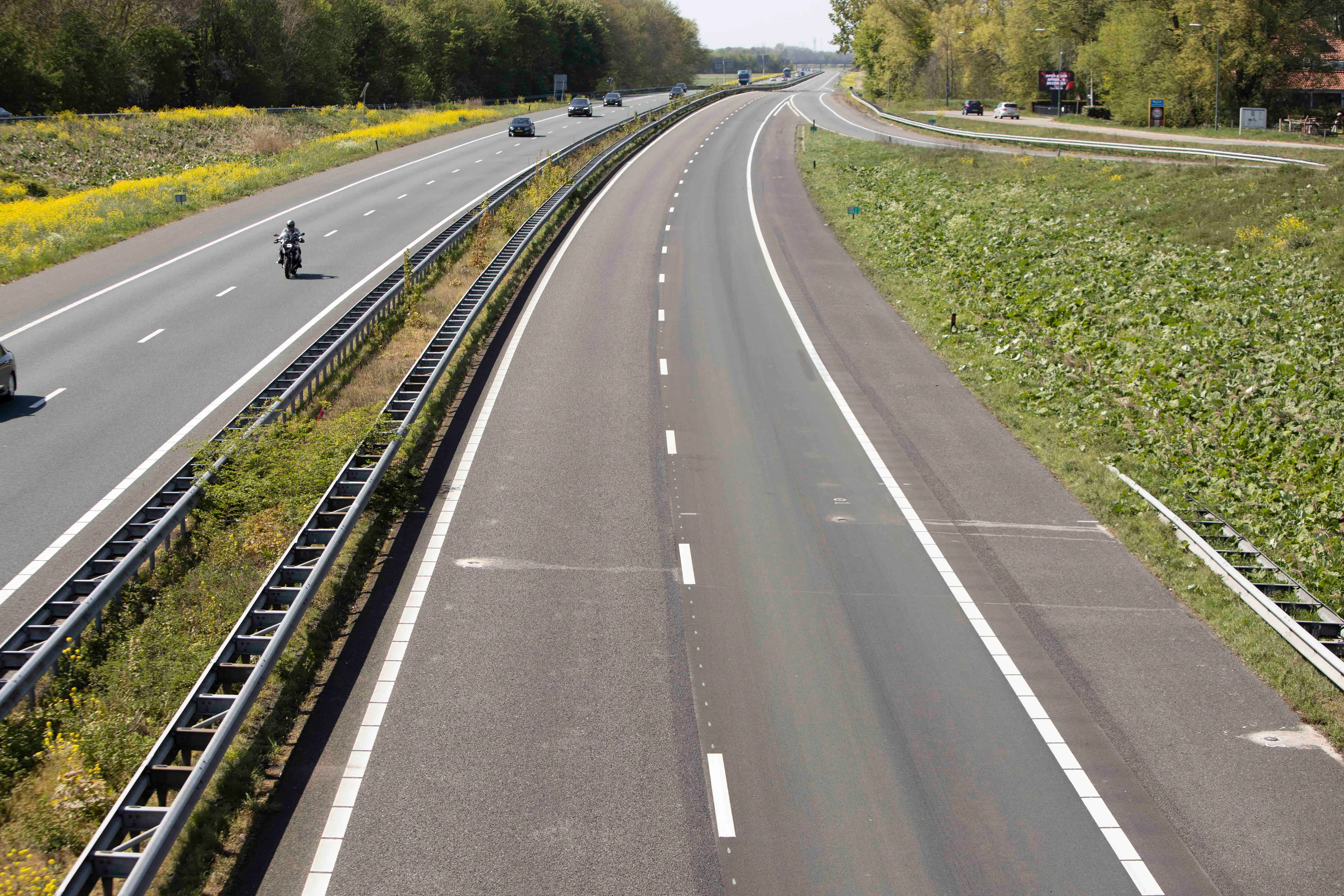 19042020 waspik 056 lr