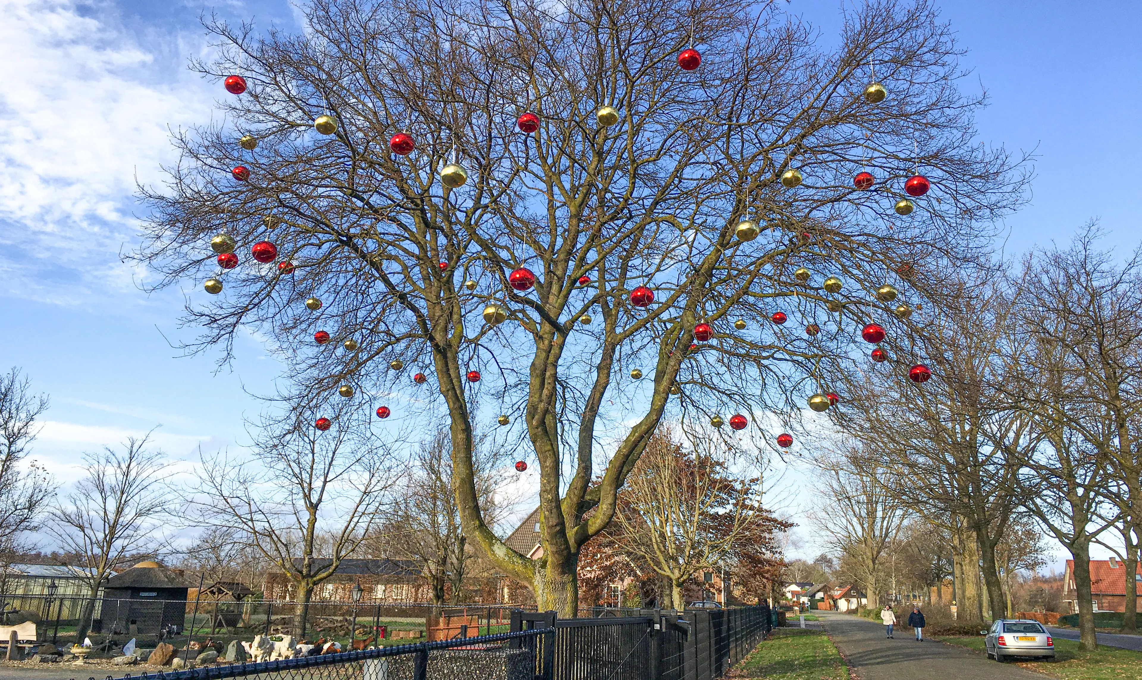 20122020 ballenboom sprang