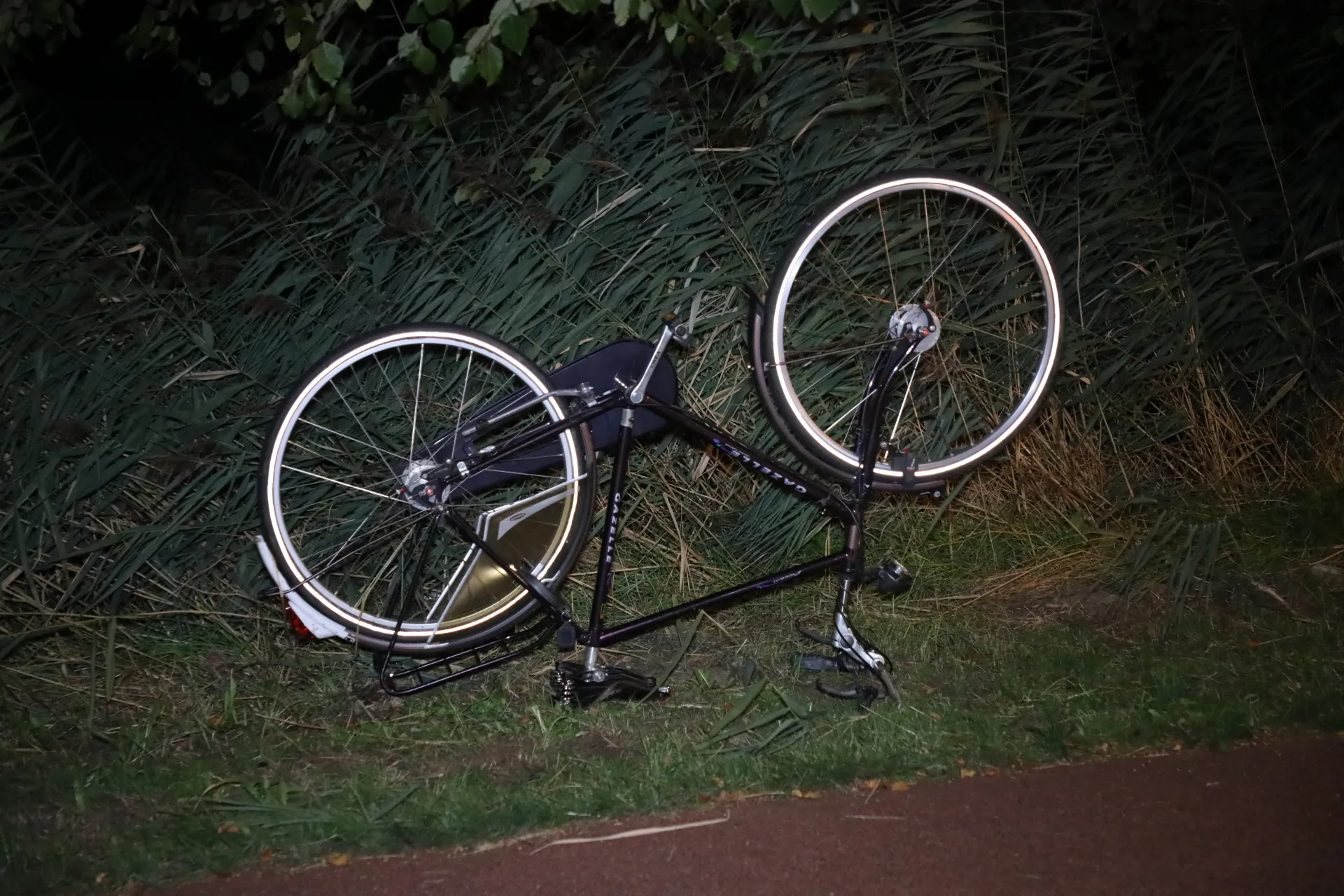 20180825011405 fpmb9986