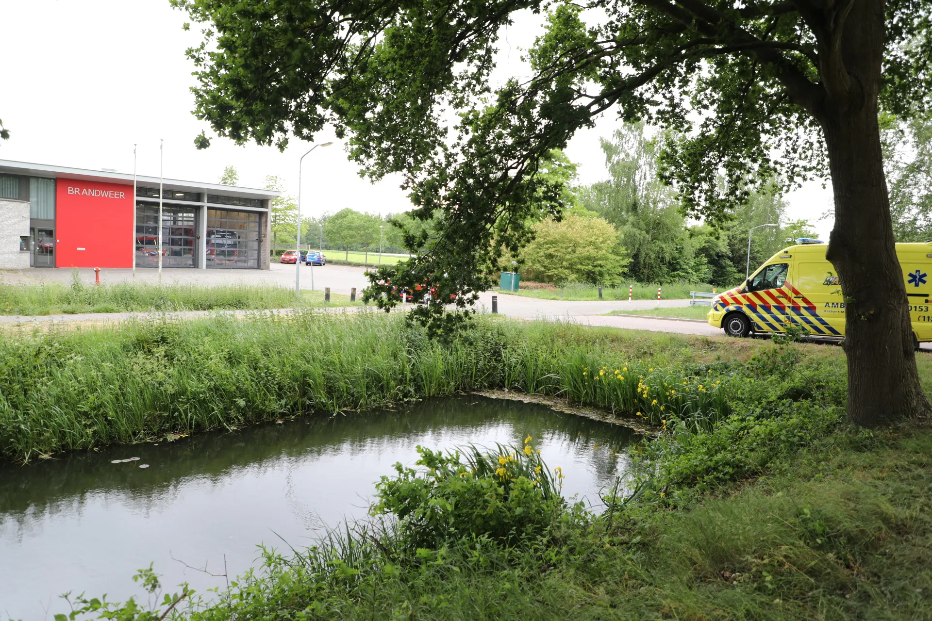 20190521171926 fpmb5417