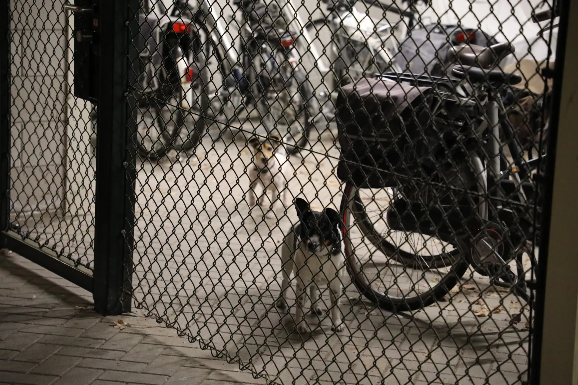 20190924185838 fpmb6836