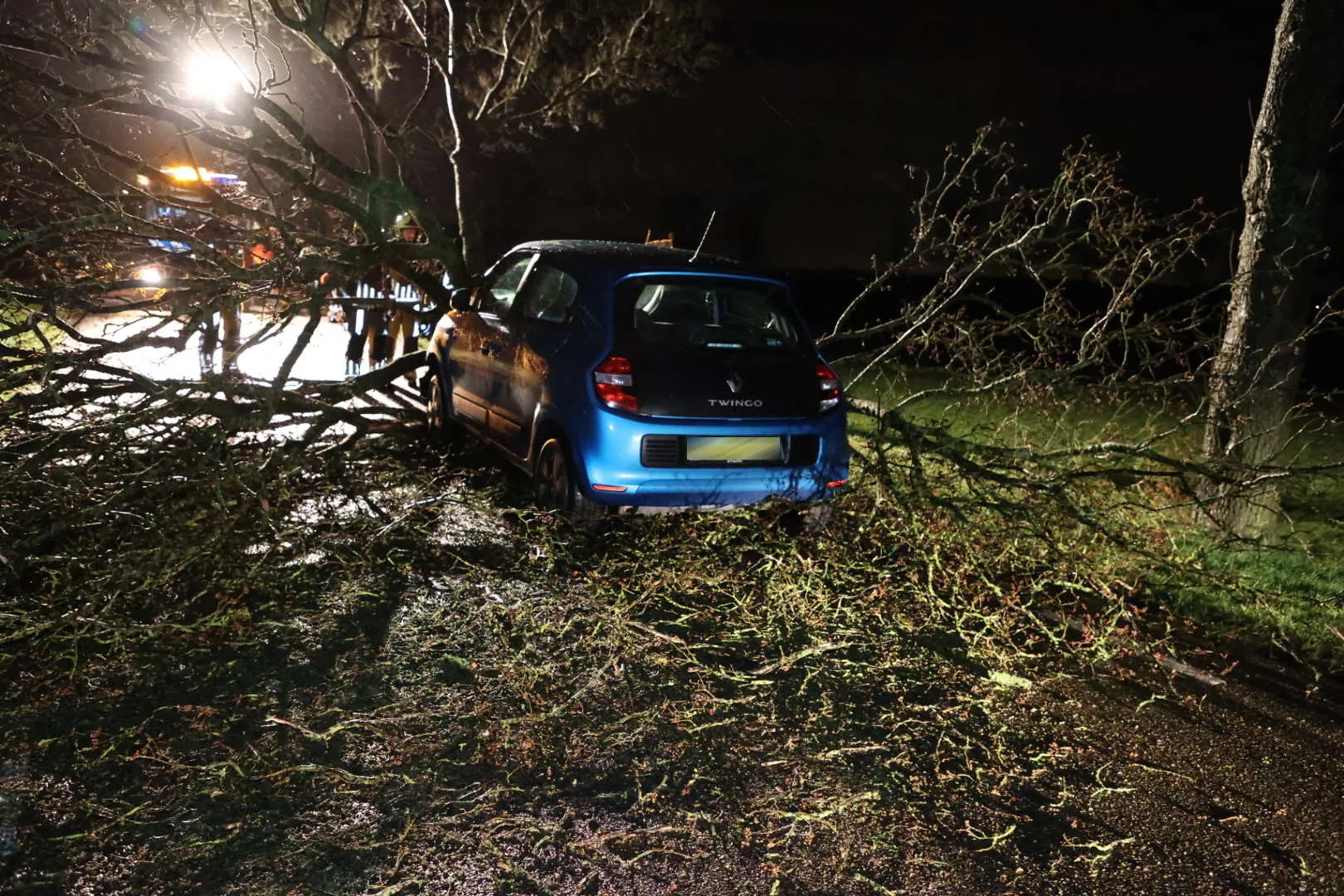 20220220232902 fpmb1253