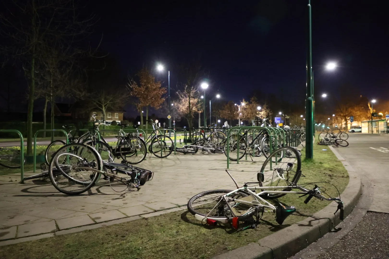 20220227061456 fpmb1356