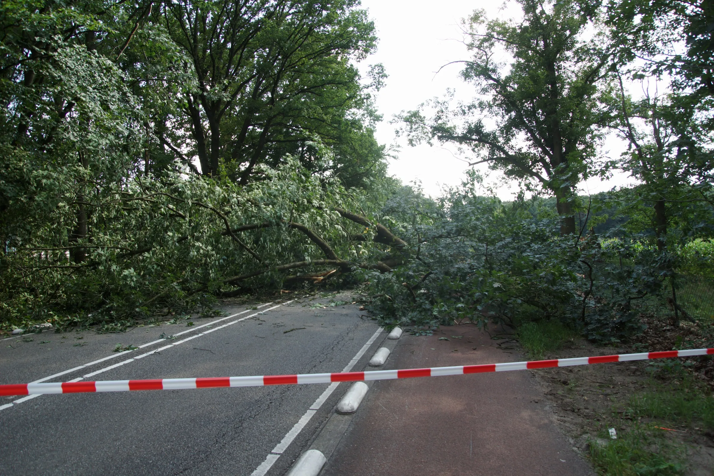 20220729142225 dsc02427