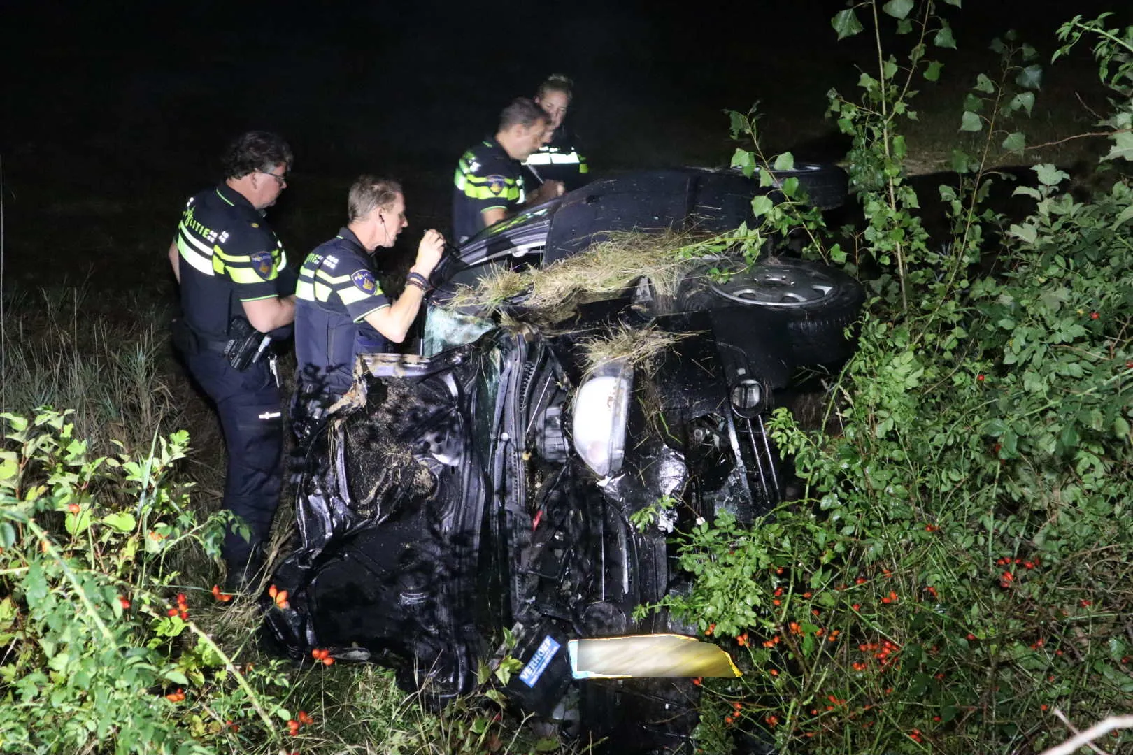 20220911221252 img 5373