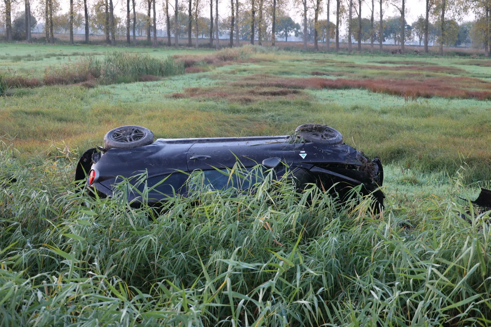 20221030084359 fpmb6398