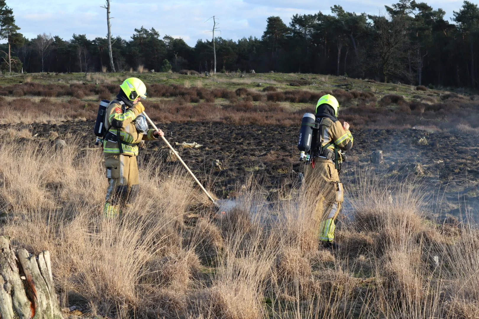 20230227175853 img 2778