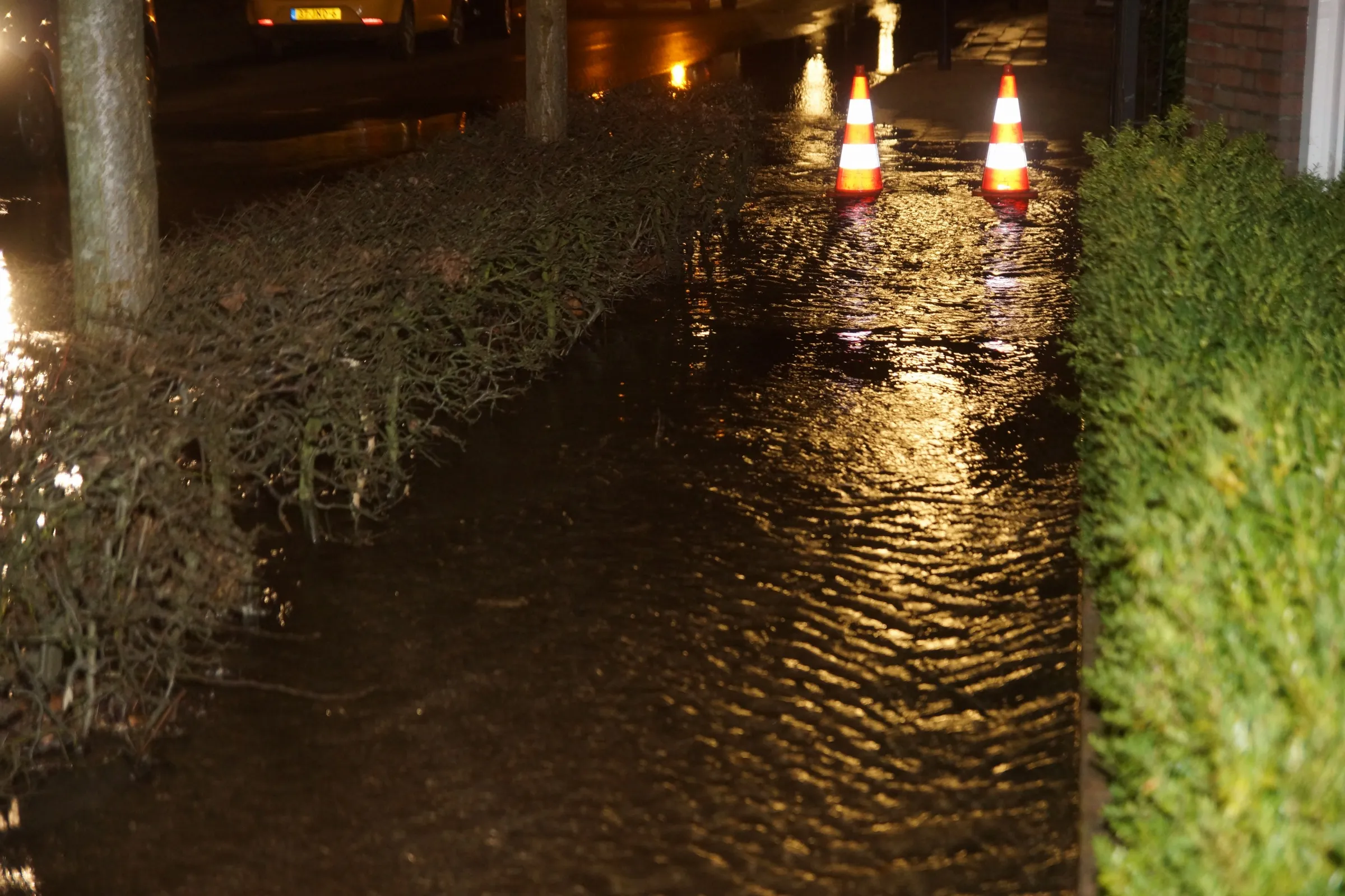 20230228035016 dsc02866