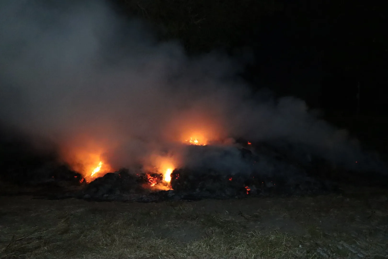 20230611040914 img 8312