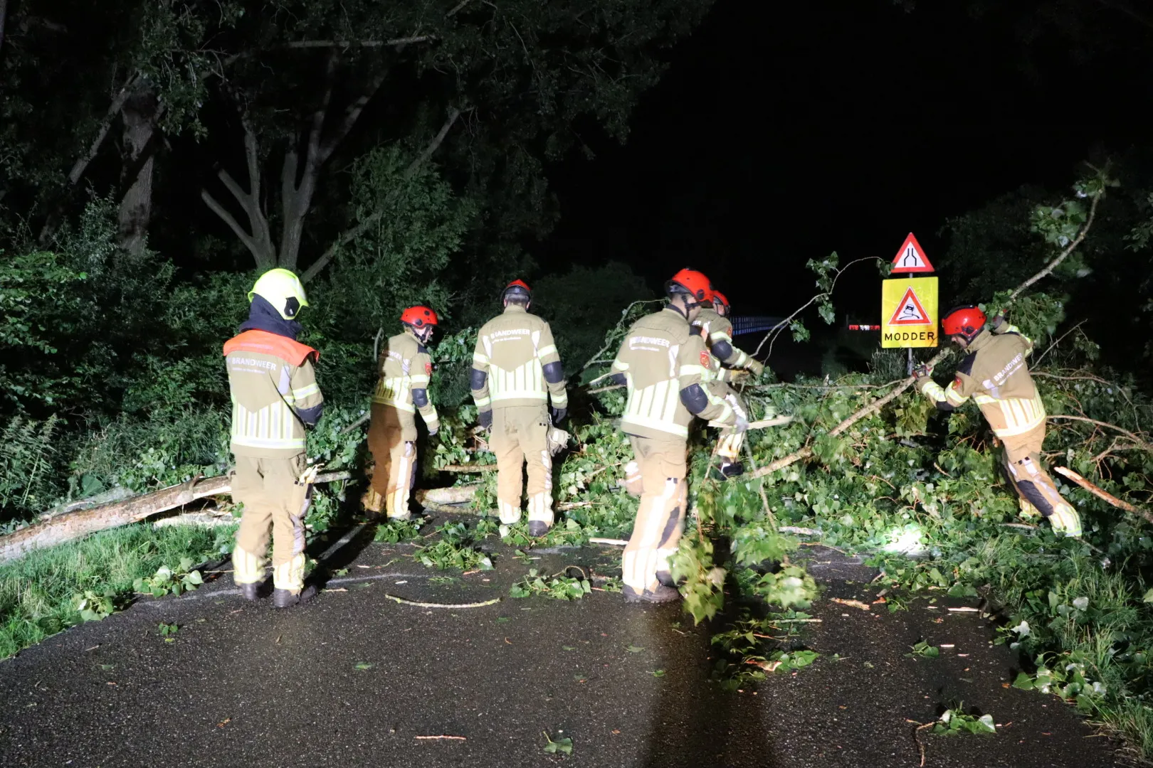 20230704020336 img 0019