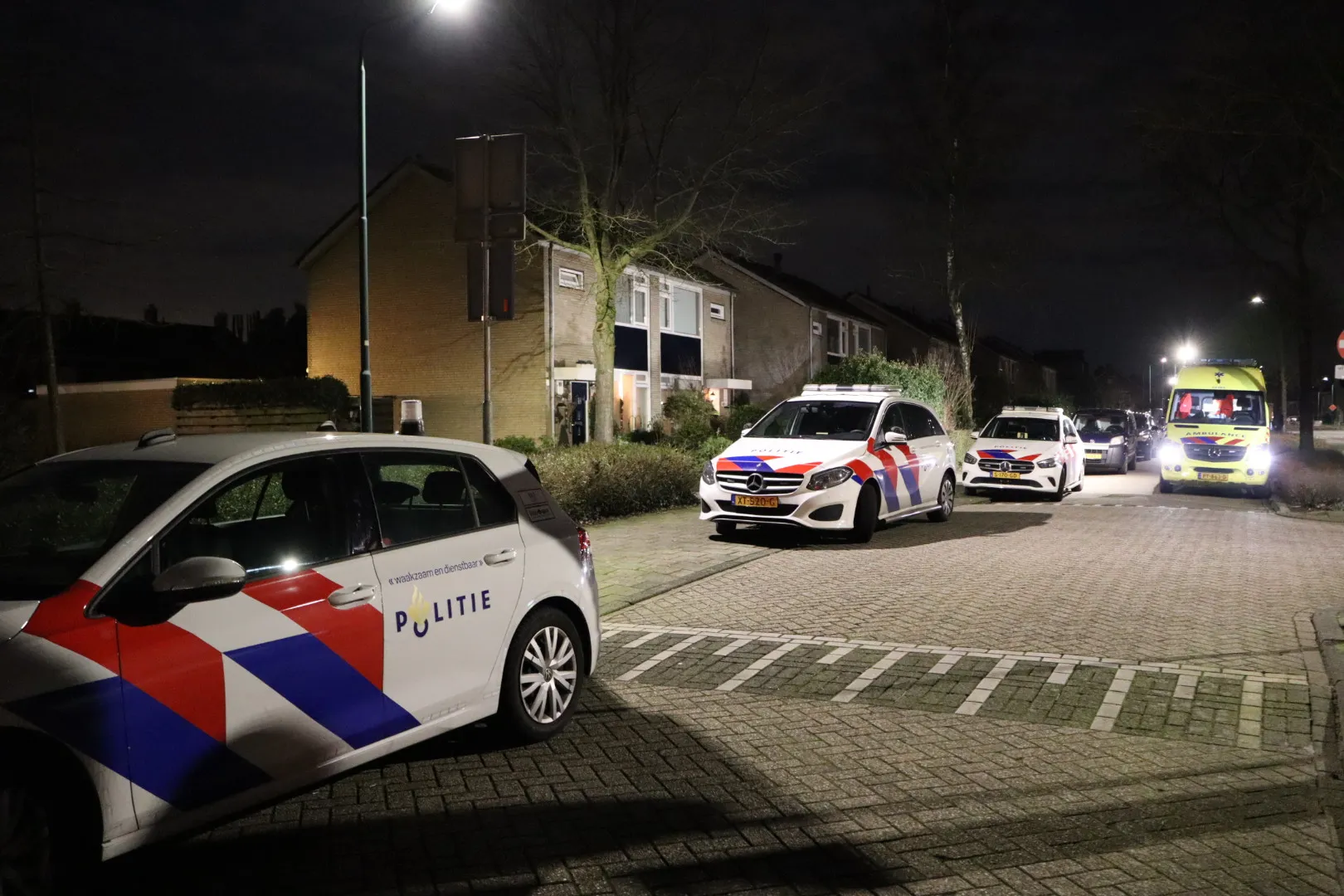 20240215195835 img 8795